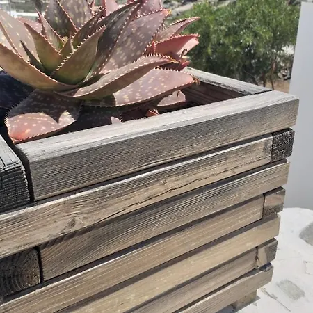 Panoramic View Apartamento