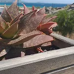 Panoramic View *