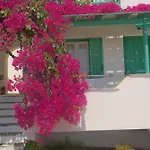 Panoramic View *