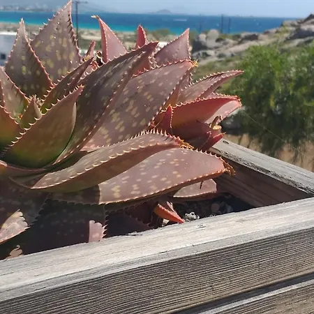Panoramic View *