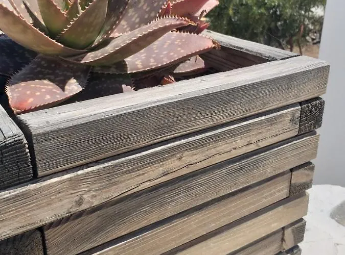 Panoramic View דירה