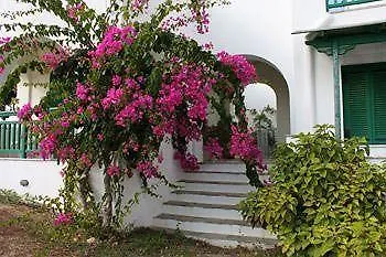 דירה Panoramic View *